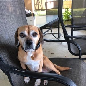 Meet your Posher, Jeff